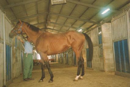 �ͼ� ����