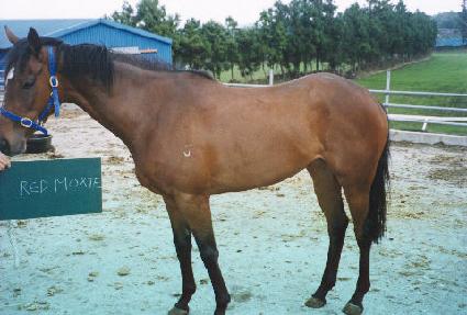 ���帷�� ����