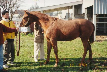 �巹��Ʈ������Ƽ ����