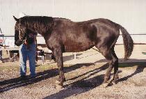 ���̾���� (WINMEA BUNDLE) ����