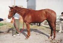 ���̼�Ʈ�ɾ� (PATIENT CARE) ����