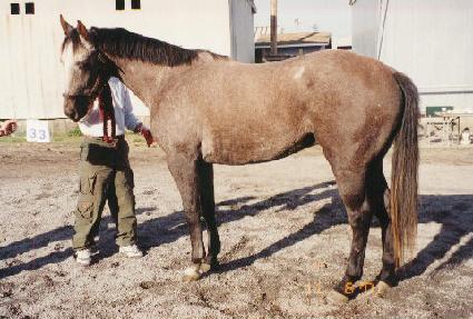 ��ũ��ٿ���Ÿ�� ����