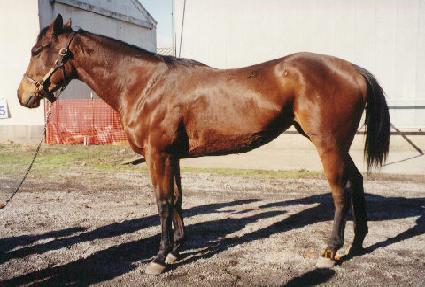 ��Ÿ�÷�Ű���� ����