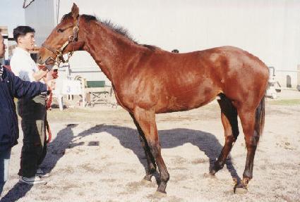 ��Ʈ�� ����