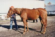 ��ġ��Ƽ (TOUCHE CITY) ����