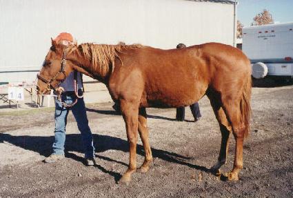 ��ġ��Ƽ ����