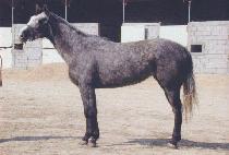 �����÷��� (GIRLS PLEASURE) ����