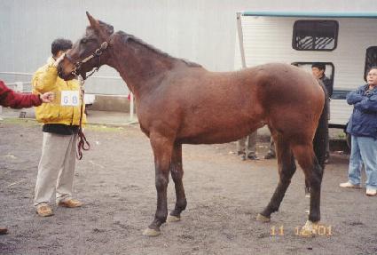 ����ī������ ����