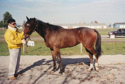 ��ġ�յ巹�̼� ����