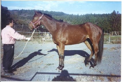 �ڹ�Ʈ���̽� ����