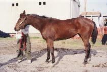 ��ũ�丮 (RANK PERRY) ����