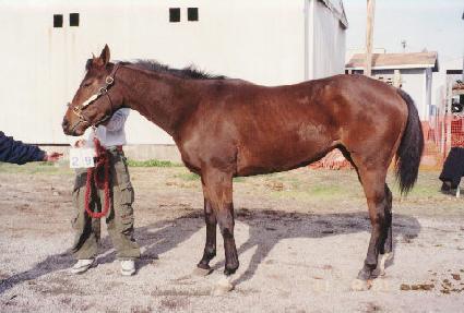 ��ũ�丮 ����