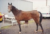 Ʈ���������� (TROPICAL WIND) ����