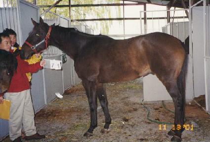 ���ο���ũ ����