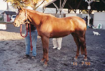 ��Ʈ���丮�� ����