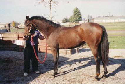 Ŭ���Ľ��丮 ����