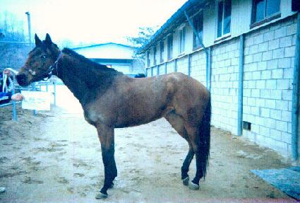 ����ư���� ����