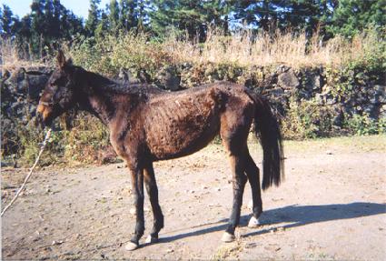 Ʈ���̹����� ����