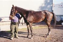 ����ƾ�ƿ����þ� (BOUTIN OUT THE CIA) ����