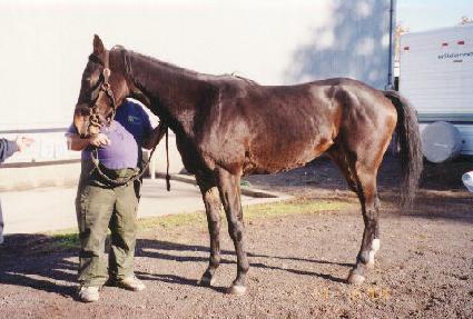 ����ƾ�ƿ����þ� ����