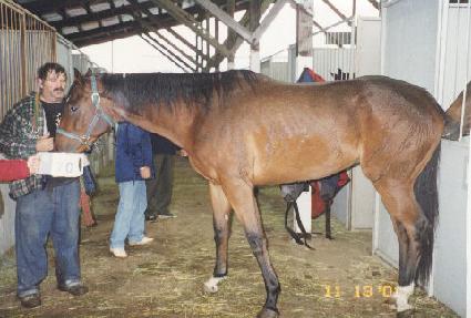 ��õ彽����� ����