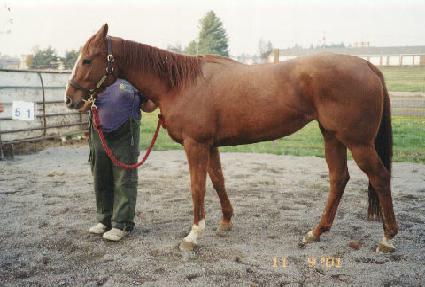 �̽�Ǯ�Ͽ콺 ����