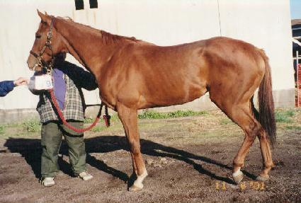 ������������ ����