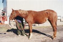 ��ŷ��Ƽ (WORKING CITY) ����