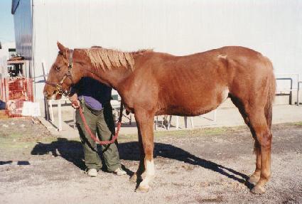 ��ŷ��Ƽ ����