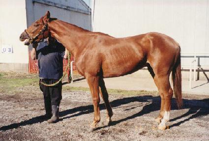 ���̺��Ʋ ����