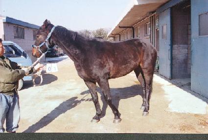 �̾����� ����