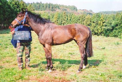 �ƿ����������� ����