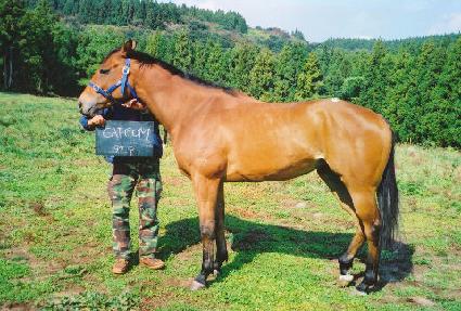 Ĺ�� ����