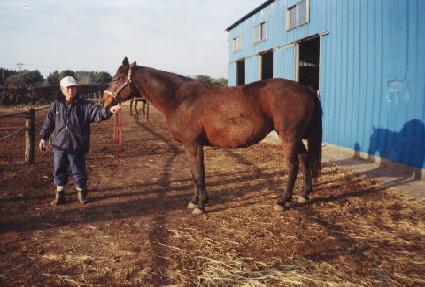 ĳ���������� ����