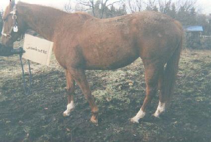 �־� ����