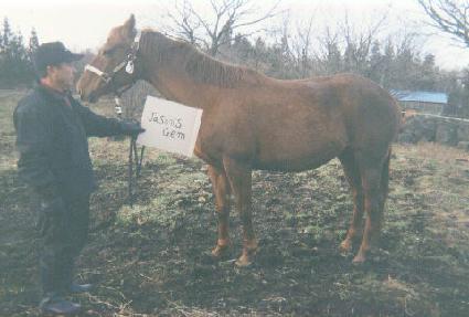 ���̽����� ����