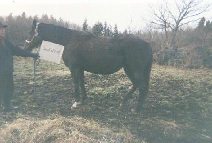 ��ũ�� ����