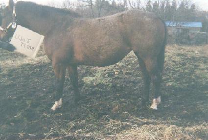 ������Ÿ�� ����