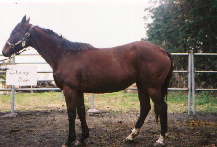 ����̻� ����