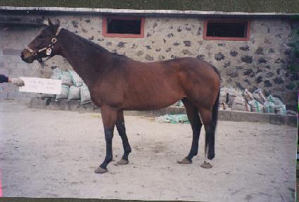 �������̽� ����