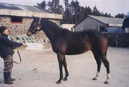 ������ ����