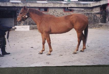 ������ͽ� ����