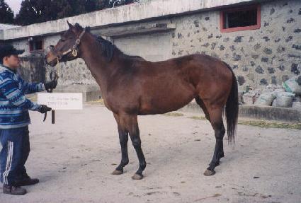 ��ũ�α۸��� ����