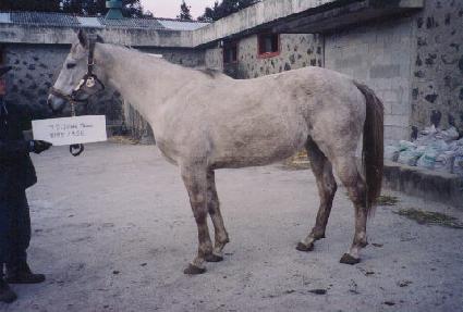 ���Ϸ�����̵� ����