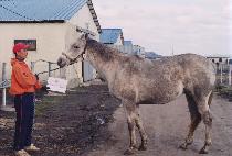 ���̵���Ŭ���� (LADY OF CLASS) ����