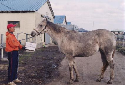 ���̵���Ŭ���� ����