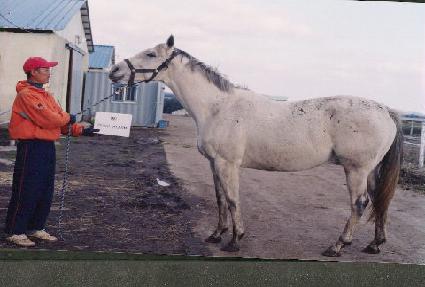 �޾�� ����