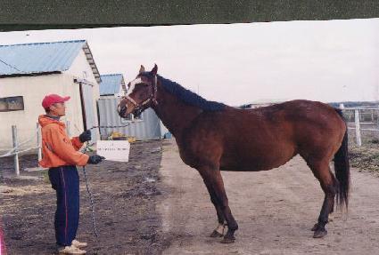 ��Ʈ��ũ���� ����