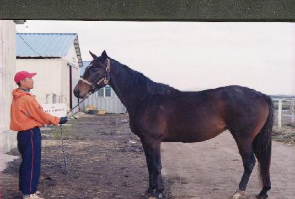 ��彺��Ʈ ����