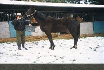 MISS ELOQUENCE picture